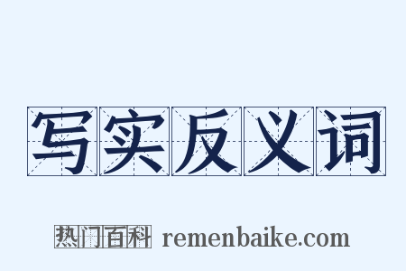 写实反义词是什么意思的图片